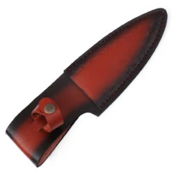 Bear Claw Fixed Blade Outdoor Hunting Knife -Knife & Sword HKP2368 01832.1620076716