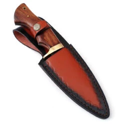 Bear Claw Fixed Blade Outdoor Hunting Knife -Knife & Sword HKP2368 71089.1620076716