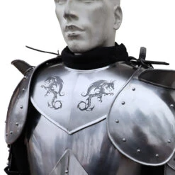Dragon Hunter Medieval Steel Adjustable Gorget Armor -Knife & Sword IN60839 77473.1583518183