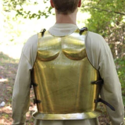 Laels Roman Gladiatorial Arena Brass Cuirass -Knife & Sword IN9123BSL20 59974.1564503245