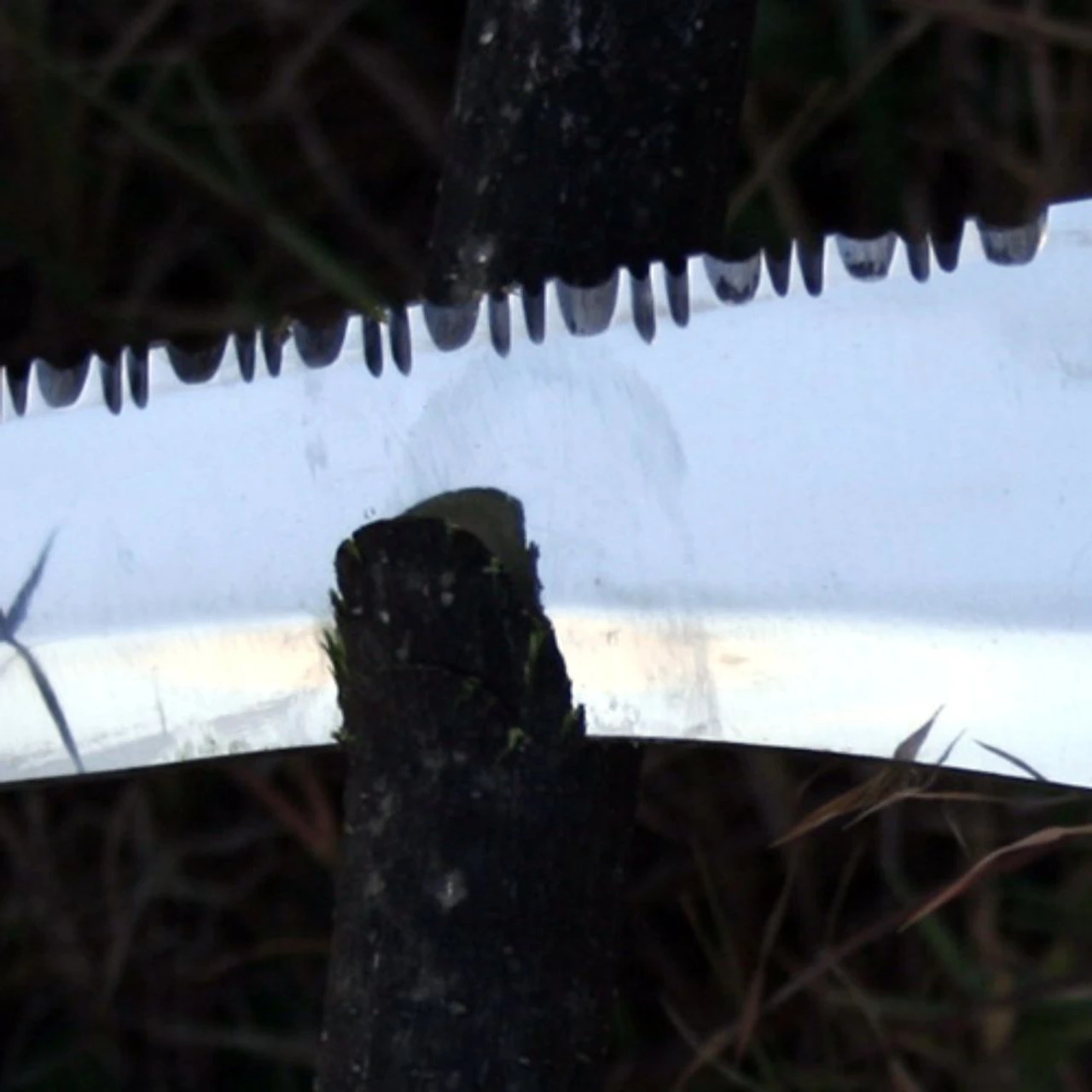 Crocodile Hunter Wood Big Bad Bowie Knife 4 Crocodile Hunter Wood Big Bad Bowie Knife - Image 4